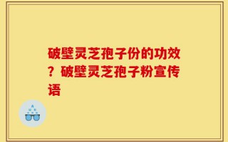 破壁灵芝孢子份的功效？破壁灵芝孢子粉宣传语