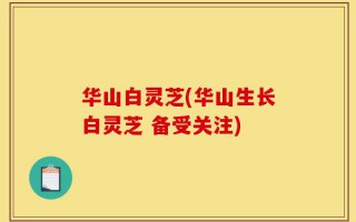 华山白灵芝(华山生长白灵芝 备受关注)