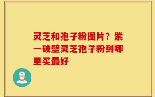 灵芝和孢子粉图片？紫一破壁灵芝孢子粉到哪里买最好