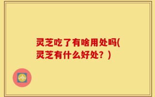 灵芝吃了有啥用处吗(灵芝有什么好处？)