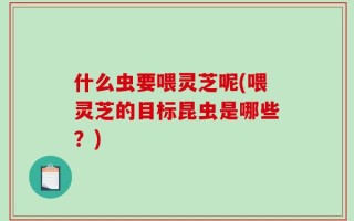 什么虫要喂灵芝呢(喂灵芝的目标昆虫是哪些？)