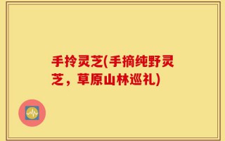 手拎灵芝(手摘纯野灵芝，草原山林巡礼)