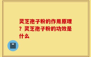 灵芝孢子粉的作用原理？灵芝孢子粉的功效是什么