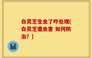 白灵芝生虫了咋处理(白灵芝遭虫害 如何防治？)