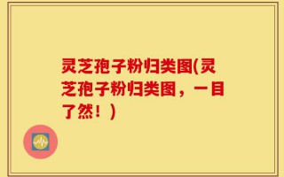 灵芝孢子粉归类图(灵芝孢子粉归类图，一目了然！)
