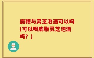 鹿鞭与灵芝泡酒可以吗(可以喝鹿鞭灵芝泡酒吗？)