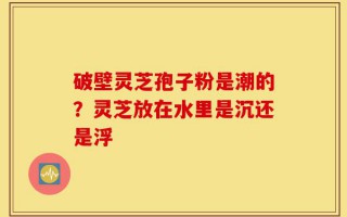 破壁灵芝孢子粉是潮的？灵芝放在水里是沉还是浮