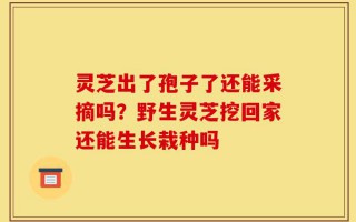 灵芝出了孢子了还能采摘吗？野生灵芝挖回家还能生长栽种吗