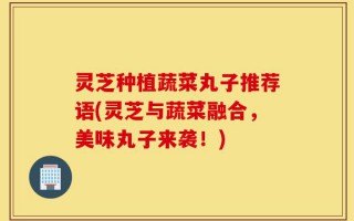 灵芝种植蔬菜丸子推荐语(灵芝与蔬菜融合，美味丸子来袭！)