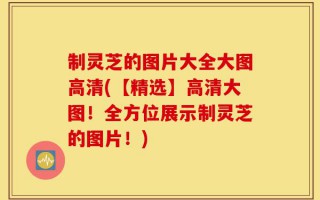 制灵芝的图片大全大图高清(【精选】高清大图！全方位展示制灵芝的图片！)