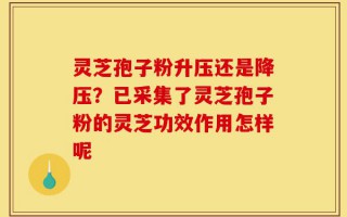 灵芝孢子粉升压还是降压？已采集了灵芝孢子粉的灵芝功效作用怎样呢