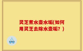 灵芝煮水壶水垢(如何用灵芝去除水壶垢？)