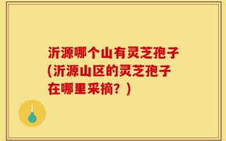 沂源哪个山有灵芝孢子(沂源山区的灵芝孢子在哪里采摘？)