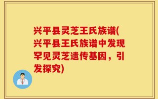 兴平县灵芝王氏族谱(兴平县王氏族谱中发现罕见灵芝遗传基因，引发探究)