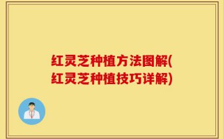 红灵芝种植方法图解(红灵芝种植技巧详解)