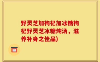 野灵芝加枸杞加冰糖枸杞野灵芝冰糖炖汤，滋养补身之佳品)