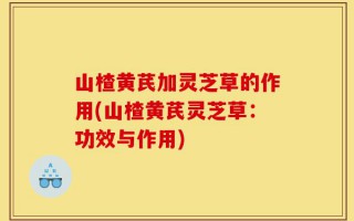 山楂黄芪加灵芝草的作用(山楂黄芪灵芝草：功效与作用)