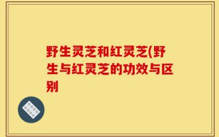 野生灵芝和红灵芝(野生与红灵芝的功效与区别