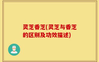 灵芝香芝(灵芝与香芝的区别及功效描述)