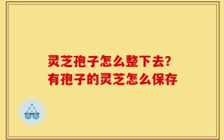 灵芝孢子怎么整下去？有孢子的灵芝怎么保存