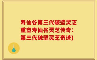 寿仙谷第三代破壁灵芝重塑寿仙谷灵芝传奇：第三代破壁灵芝奇迹)