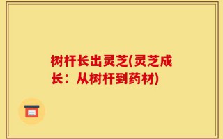 树杆长出灵芝(灵芝成长：从树杆到药材)