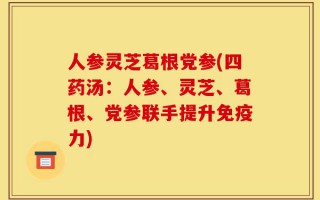 人参灵芝葛根党参(四药汤：人参、灵芝、葛根、党参联手提升免疫力)