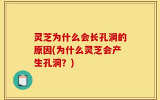 灵芝为什么会长孔洞的原因(为什么灵芝会产生孔洞？)