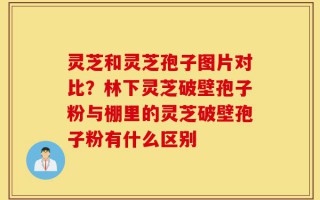 灵芝和灵芝孢子图片对比？林下灵芝破壁孢子粉与棚里的灵芝破壁孢子粉有什么区别