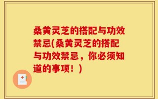 桑黄灵芝的搭配与功效禁忌(桑黄灵芝的搭配与功效禁忌，你必须知道的事项！)
