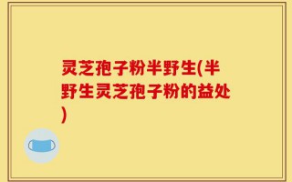 灵芝孢子粉半野生(半野生灵芝孢子粉的益处)