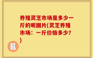 养殖灵芝市场是多少一斤的呢图片(灵芝养殖市场：一斤价格多少？)