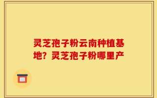 灵芝孢子粉云南种植基地？灵芝孢子粉哪里产
