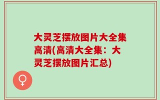 大灵芝摆放图片大全集高清(高清大全集：大灵芝摆放图片汇总)
