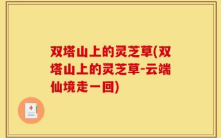 双塔山上的灵芝草(双塔山上的灵芝草-云端仙境走一回)