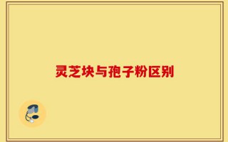 灵芝块与孢子粉区别