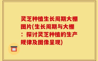 灵芝种植生长周期大棚图片(生长周期与大棚：探讨灵芝种植的生产规律及图像呈现)