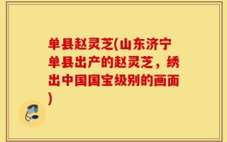 单县赵灵芝(山东济宁单县出产的赵灵芝，绣出中国国宝级别的画面)