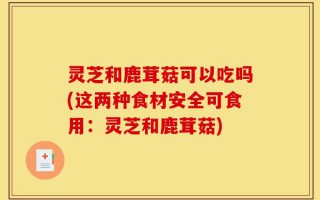 灵芝和鹿茸菇可以吃吗(这两种食材安全可食用：灵芝和鹿茸菇)
