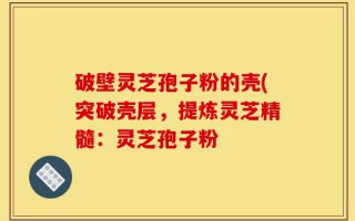 破壁灵芝孢子粉的壳(突破壳层，提炼灵芝精髓：灵芝孢子粉