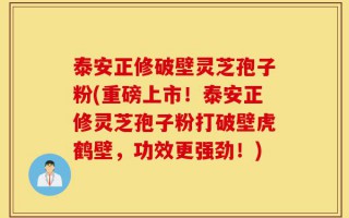 泰安正修破壁灵芝孢子粉(重磅上市！泰安正修灵芝孢子粉打破壁虎鹤壁，功效更强劲！)