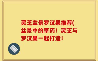灵芝盆景罗汉果推荐(盆景中的草药！灵芝与罗汉果一起打造！