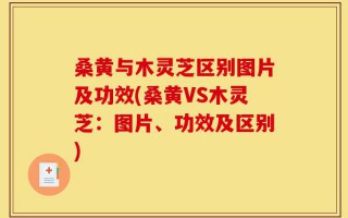 桑黄与木灵芝区别图片及功效(桑黄VS木灵芝：图片、功效及区别)