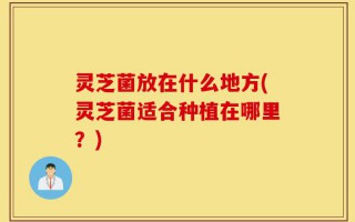 灵芝菌放在什么地方(灵芝菌适合种植在哪里？)