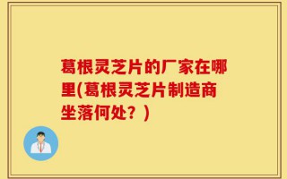 葛根灵芝片的厂家在哪里(葛根灵芝片制造商坐落何处？)