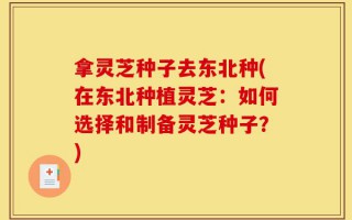 拿灵芝种子去东北种(在东北种植灵芝：如何选择和制备灵芝种子？)
