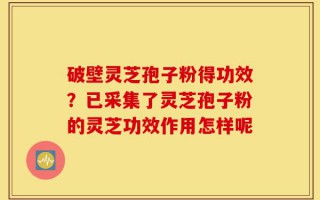 破壁灵芝孢子粉得功效？已采集了灵芝孢子粉的灵芝功效作用怎样呢