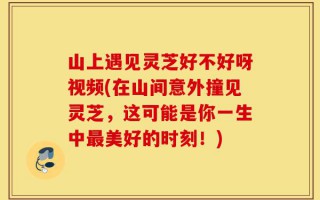 山上遇见灵芝好不好呀视频(在山间意外撞见灵芝，这可能是你一生中最美好的时刻！)