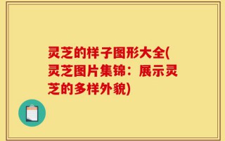 灵芝的样子图形大全(灵芝图片集锦：展示灵芝的多样外貌)