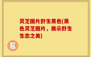 灵芝图片野生黑色(黑色灵芝图片，展示野生生态之美)